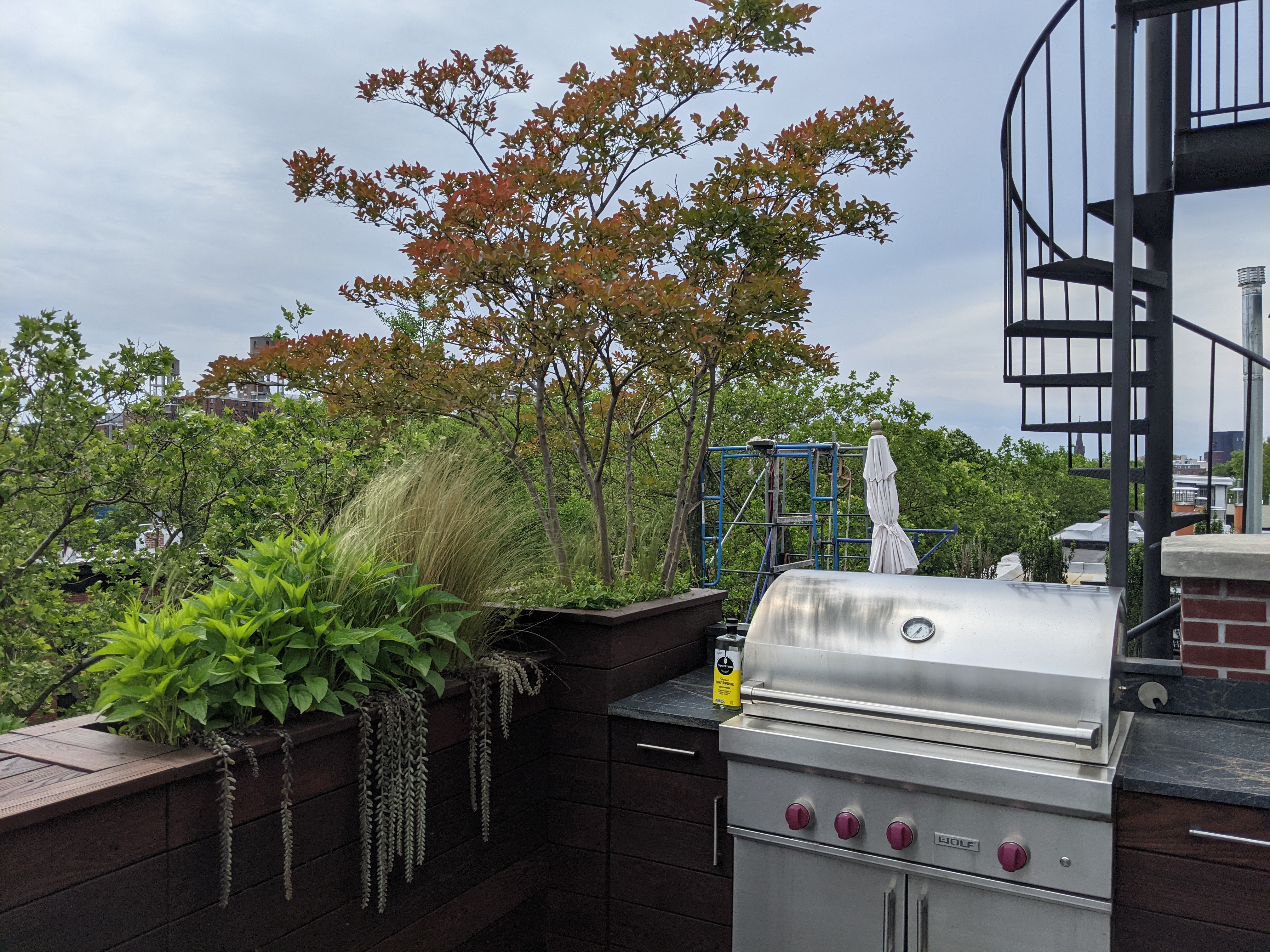 Specialty Landscape Maintenance for Terrace Trees, Shrubs, Flowers
