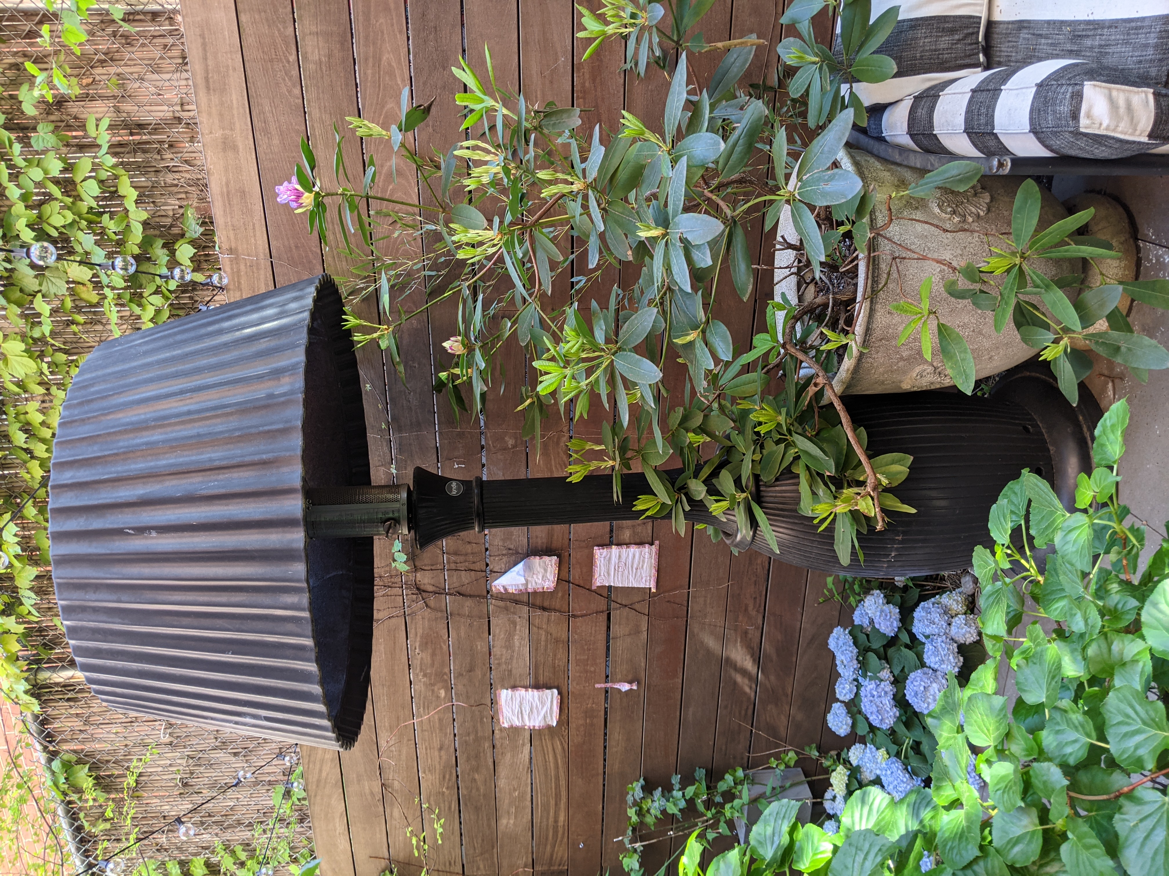 NYC Landscape Garden Plant Care and Maintenance