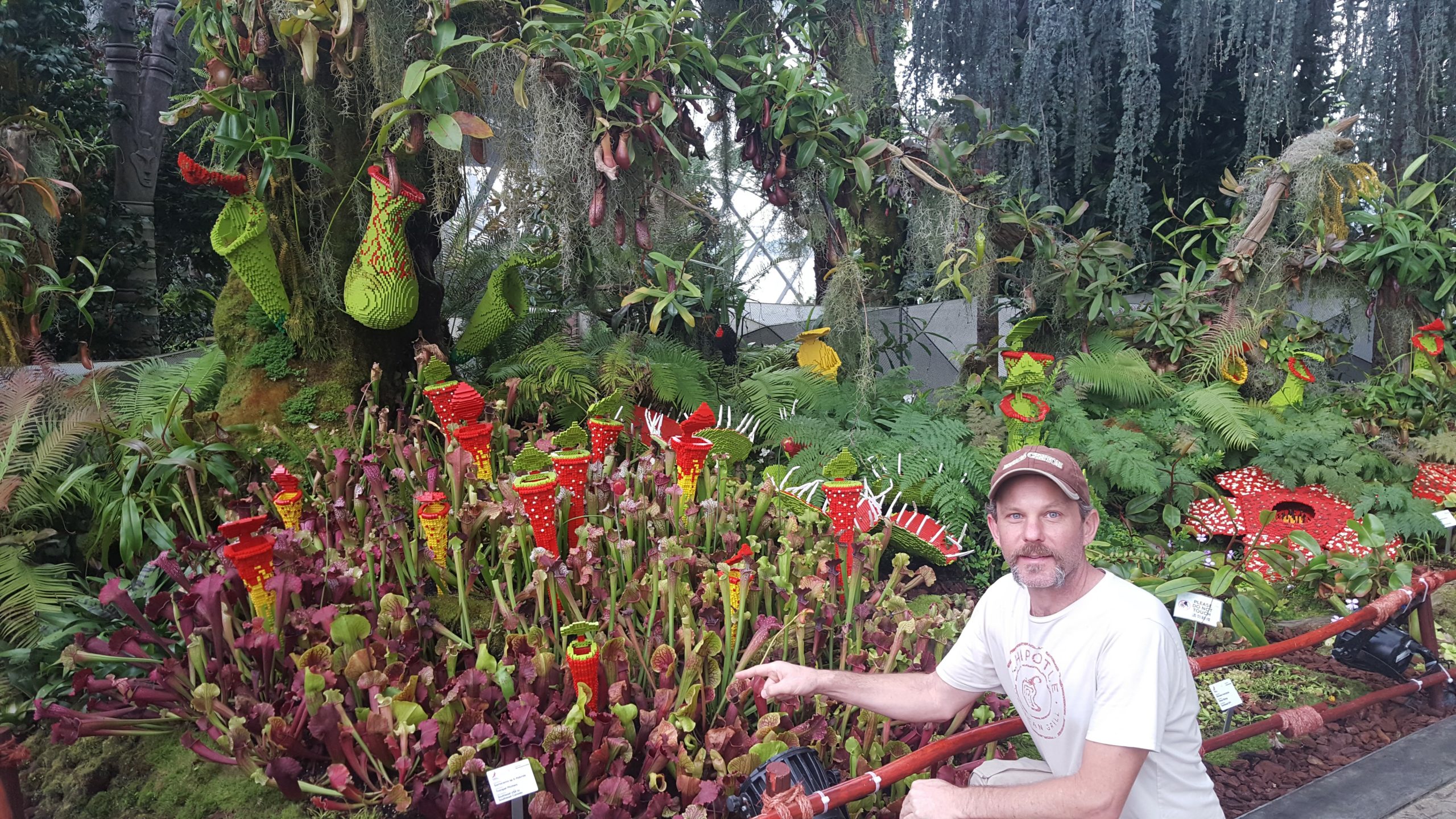 Specialty Rooftop Garden Designer